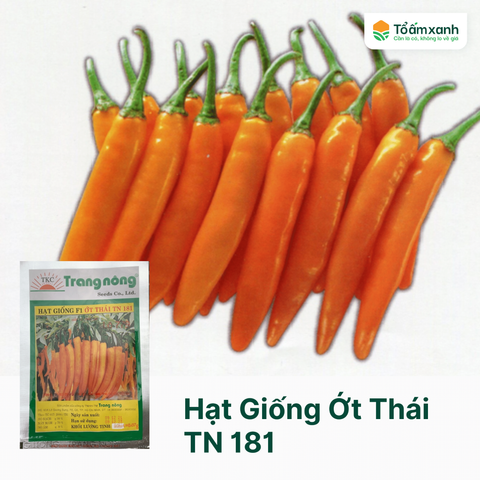 Hạt Giống Ớt Thái TN 181 - Trang Nông 10 Hạt