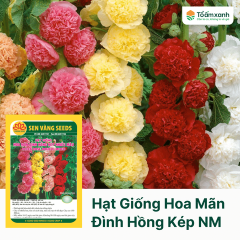 Hạt Giống Hoa Mãn Đình Hồng Kép Nhiều Màu - 0.5 gram