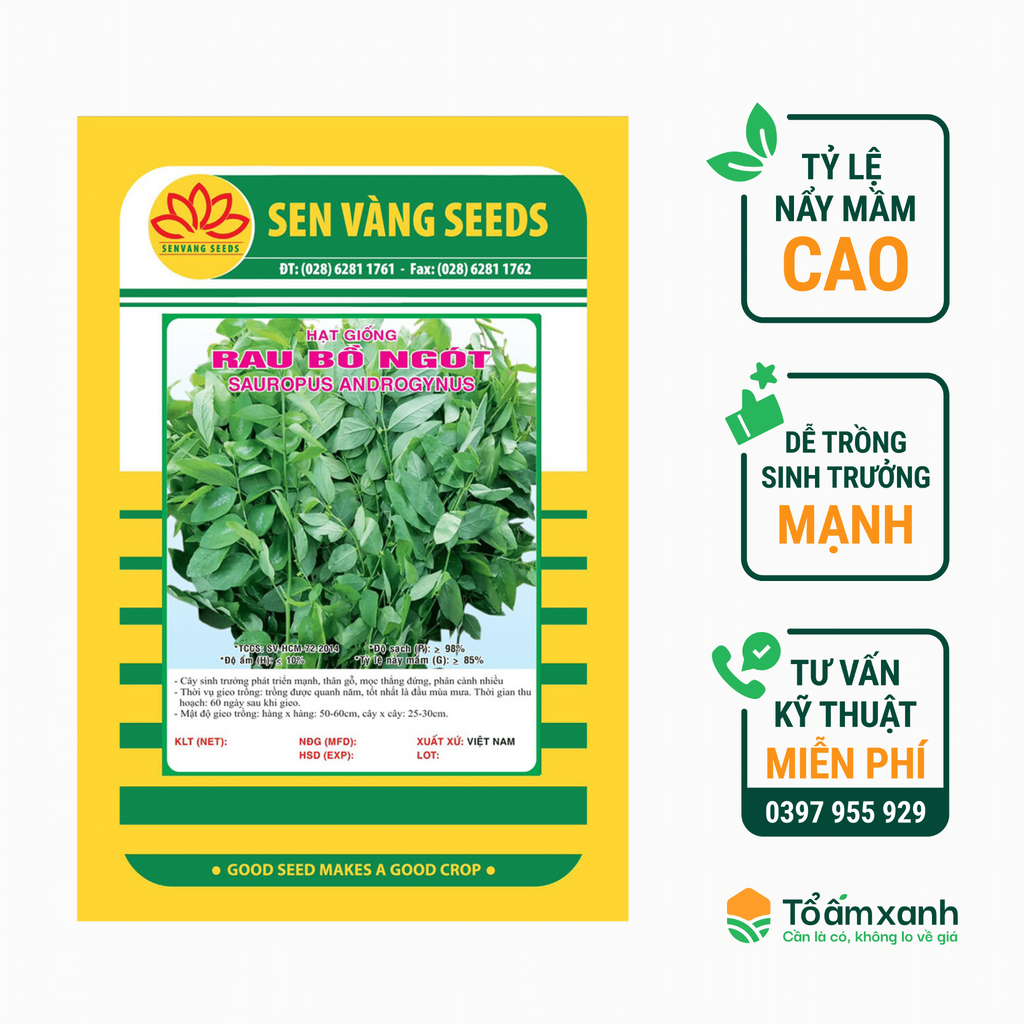 Hạt Giống Rau Bồ Ngót -  Sen Vàng