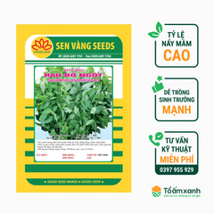 Hạt Giống Rau Bồ Ngót -  Sen Vàng