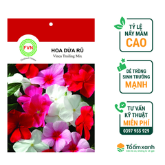Hạt Giống Hoa Dừa Rũ - Floralseeds Việt Nam
