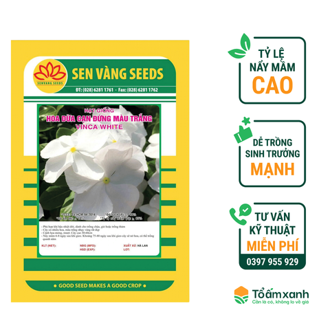 Hạt Giống Hoa Dừa Cạn Đứng Màu Trắng - Sen Vàng 0.5 gram