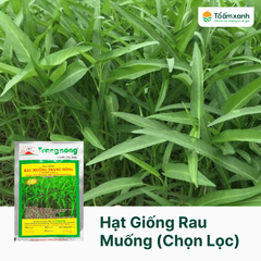 Hạt Giống Rau Muống (Chọn Lọc) - Trang Nông  1 Kg