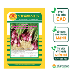 Hạt Giống Hành Lá Cao Sản Gốc Tím VIOLET - Sen Vàng