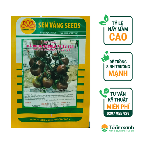Hạt Giống Cà Chua SOCOLA F1 SV 124 - Sen Vàng