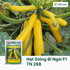 Hạt Giống Bí Ngòi F1 TN 288 - 5 gram