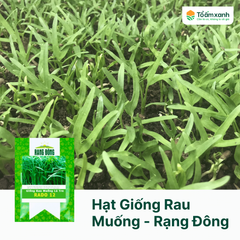 Hạt Giống Rau Muống Lá Tre - Rạng Đông