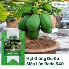 Hạt Giống Đu Đủ Siêu Lùn RADO 540 - Rạng Đông