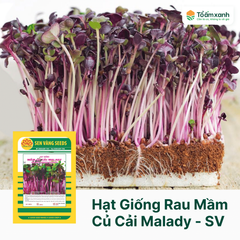 Hạt Giống Rau Mầm Củ Cải MALADY - Sen Vàng  20 gram