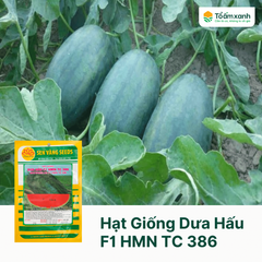 Hạt Giống Dưa Hấu F1 HMN TC 386 - Sen Vàng