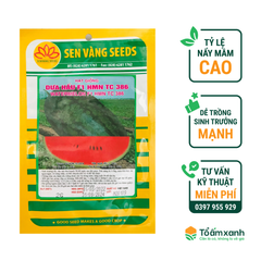 Hạt Giống Dưa Hấu F1 HMN TC 386 - Sen Vàng