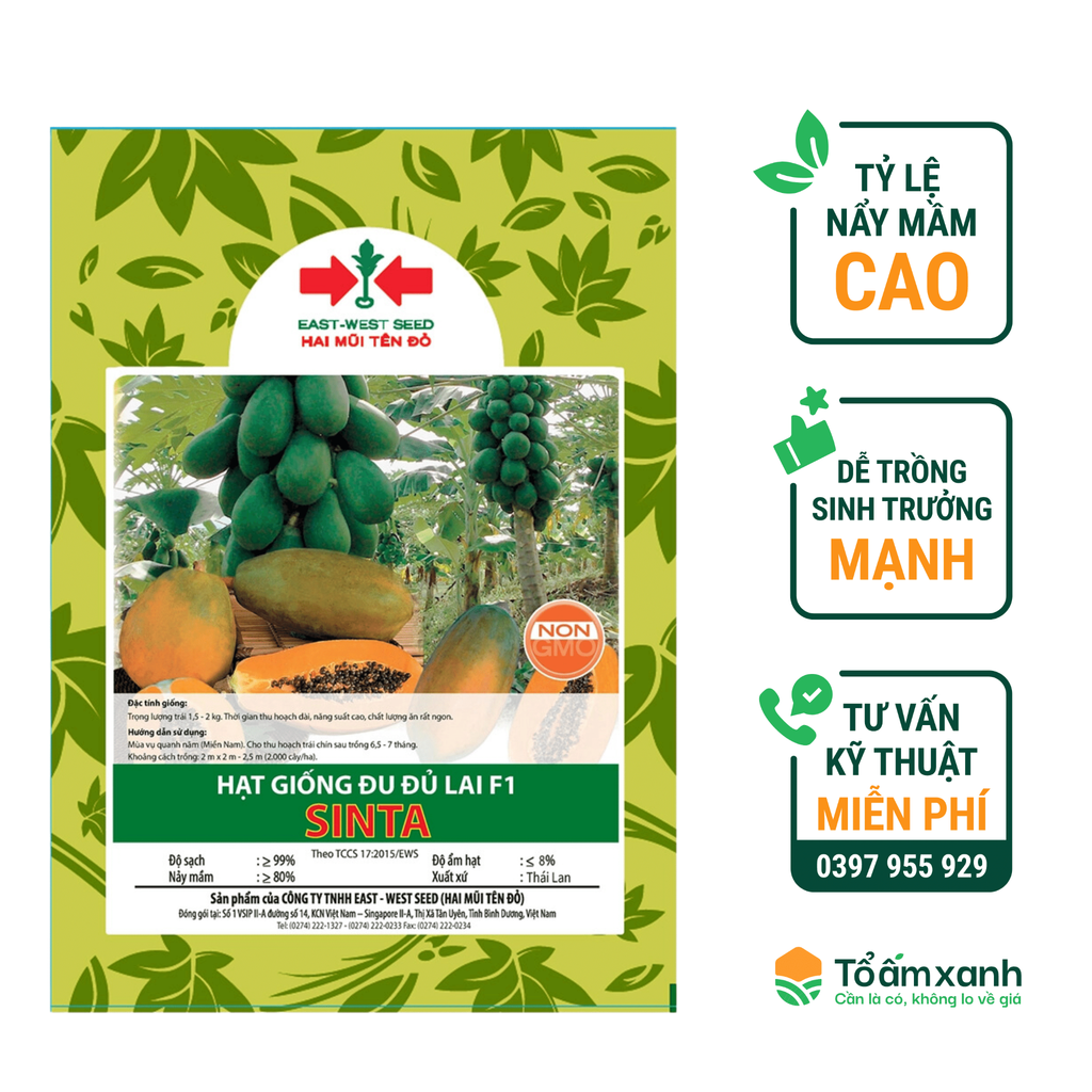 Hạt Giống Đu Đủ Lai F1 SINTA (Giống Lùn, Ruột Vàng)- Hai Mũi Tên Đỏ