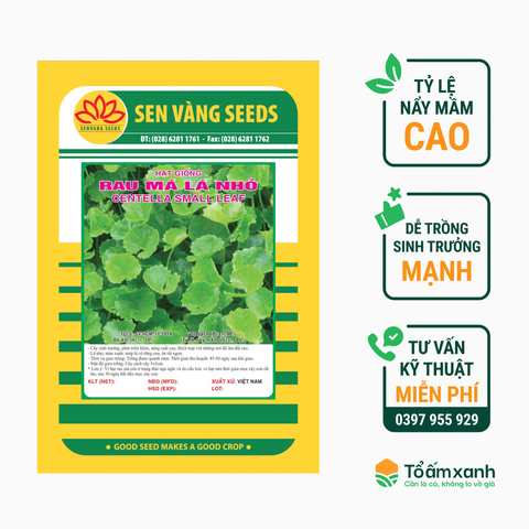 Hạt Giống Rau Má Lá Nhỏ - Sen Vàng  0.5 gram