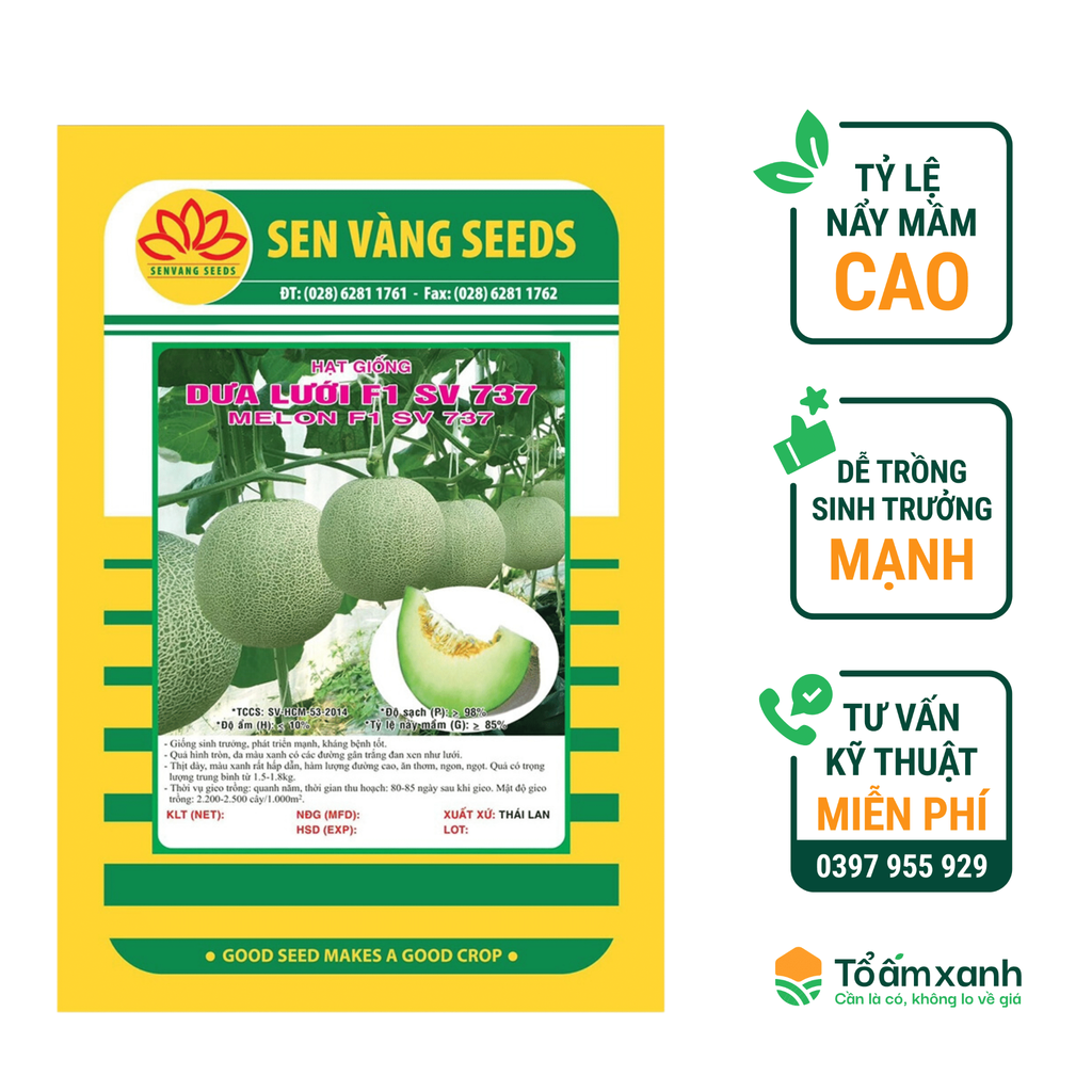 Hạt Giống Dưa Lưới F1 SV 737 - Sen Vàng