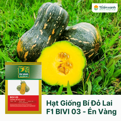 Hạt Giống Bí Đậu 03 - Én Vàng 100 Hạt