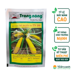 Hạt Giống Bí Ngòi F1 TN 288 - 5 gram