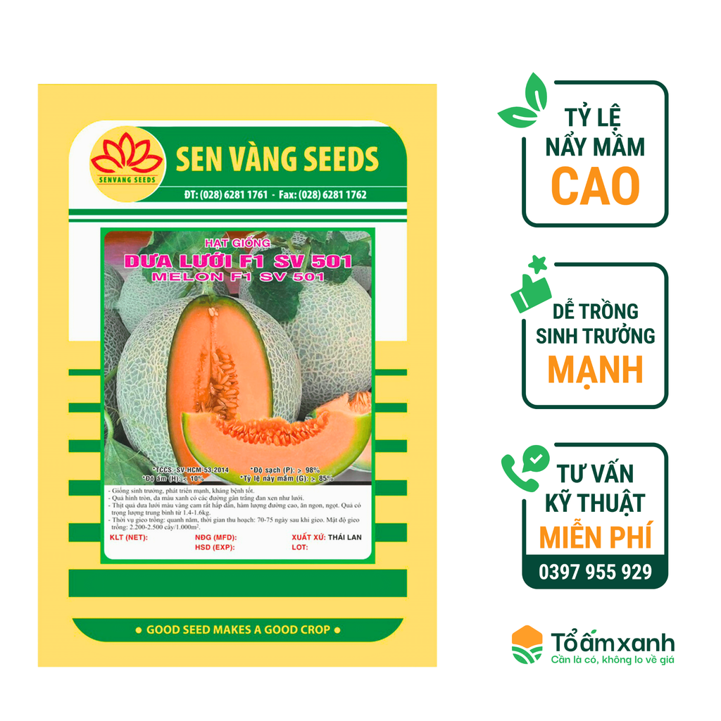 Hạt Giống Dưa Lưới F1 501 - Sen Vàng