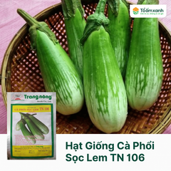 Hạt Giống Cà Phổi Sọc Lem TN 106 - Trang Nông