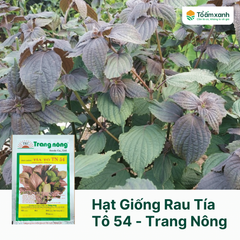 Hạt Giống Rau Tía Tô 54 - Trang Nông