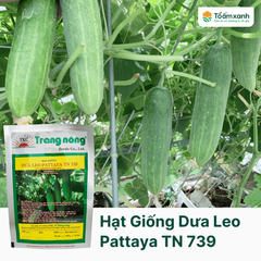 Hạt Giống Dưa Leo PATTAYA TN 739 - 20 Hạt