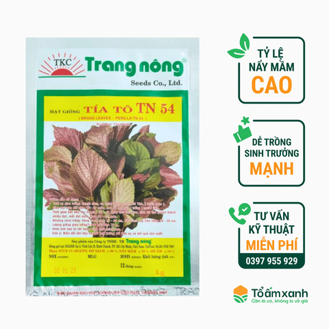 Hạt Giống Rau Tía Tô 54 - Trang Nông