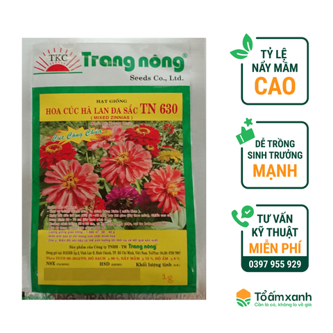 Hạt Giống Hoa Cúc Hà Lan Đa Sắc TN 630 - Trang Nông