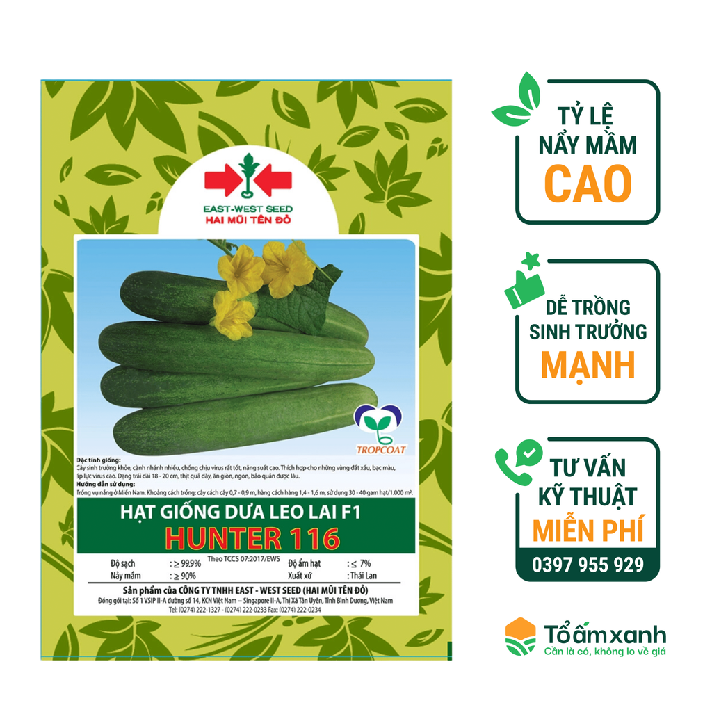 Hạt Giống Dưa Leo Lai F1 HUNTER 116 - Hai Mũi Tên Đỏ