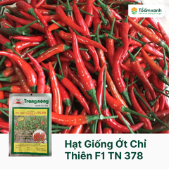 Hạt Giống Ớt Chỉ Thiên F1 TN 378 - Trang Nông 0.4 gram