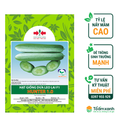 Hạt Giống Dưa Leo Lai F1 HUNTER 1.0