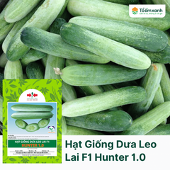 Hạt Giống Dưa Leo Lai F1 HUNTER 1.0