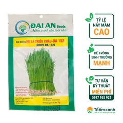 Hạt Giống Hẹ Lá Triều Châu ĐA 152 - Đại An
