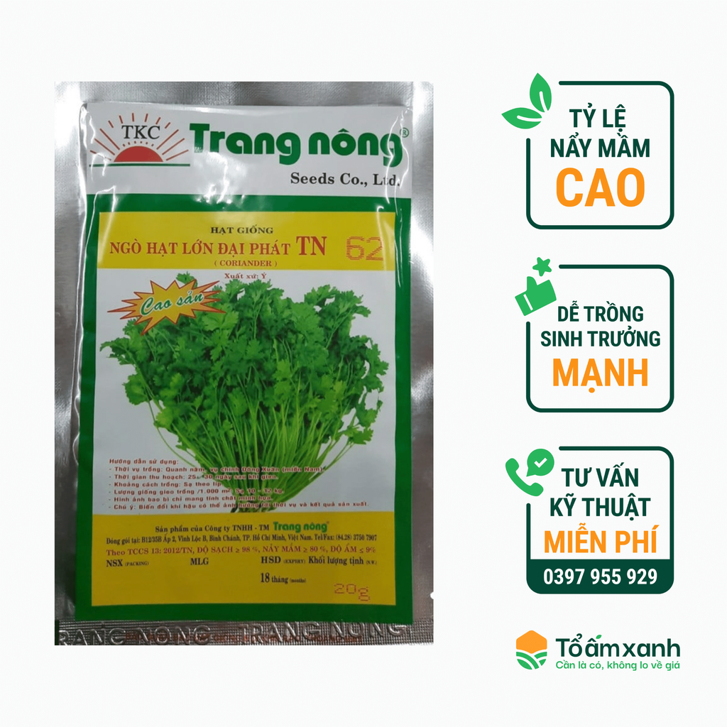 Hạt Giống Ngò Rí Hạt Lớn Đại Phát TN 62 - Trang Nông