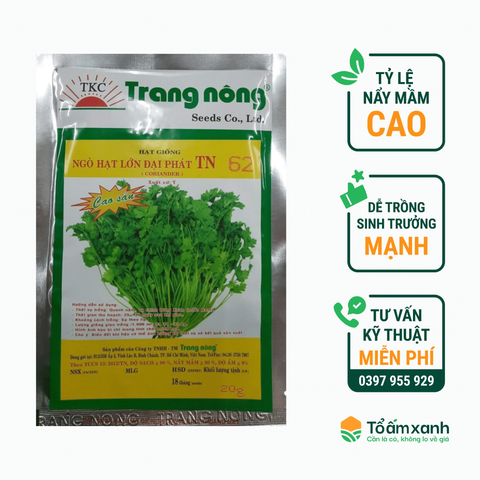Hạt Giống Ngò Rí Hạt Lớn Đại Phát TN 62 - Trang Nông
