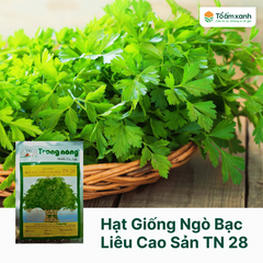 Hạt Giống Ngò Bạc Liêu Cao Sản TN 28 - Trang Nông 20 gram
