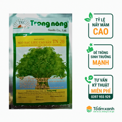 Hạt Giống Ngò Bạc Liêu Cao Sản TN 28 - Trang Nông 20 gram