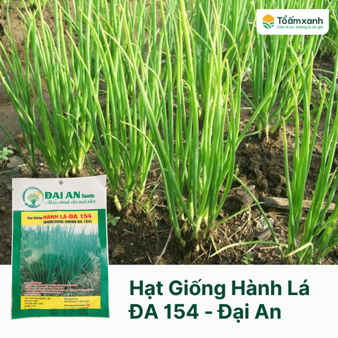 Hạt Giống Hành Lá ĐA 154 - Đại An