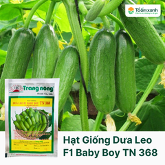 Hạt Giống Dưa Leo F1 BABY BOY TN 368 - 1gram