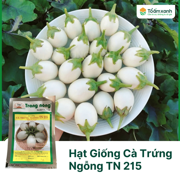 Hạt Giống Cà Trứng Ngỗng TN 215 - Trang Nông