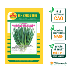 Hạt Giống Hành Lá Cao Sản Gốc Trắng - Sen Vàng  2 gram