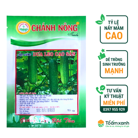 Hạt Giống Dưa Leo 527 - Chánh Nông