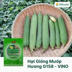 Hạt Giống Mướp Hương G158 - VINO 10 gram