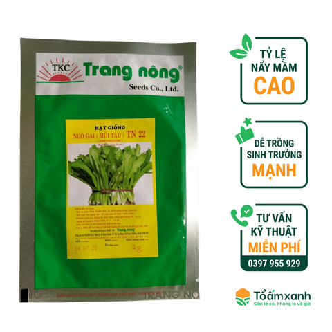 Hạt Giống Ngò Gai (Mùi Tàu) TN 22 - Trang Nông