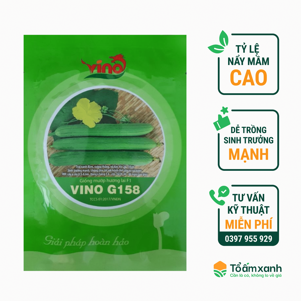 Hạt Giống Mướp Hương G158 - VINO 10 gram