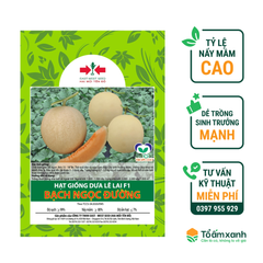 Hạt Giống Dưa Lê Lai F1 Bạch Ngọc Đường - Hai Mũi Tên Đỏ