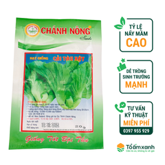Hạt Giống Cải Tàu Xậy - Chánh Nông