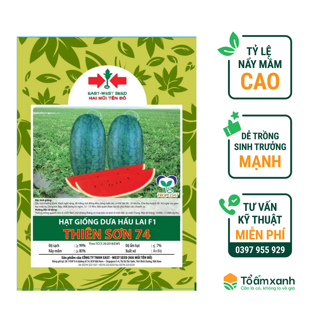Hạt Giống Dưa Hấu Lai F1 - Thiên Sơn 74 - Hai Mũi Tên Đỏ
