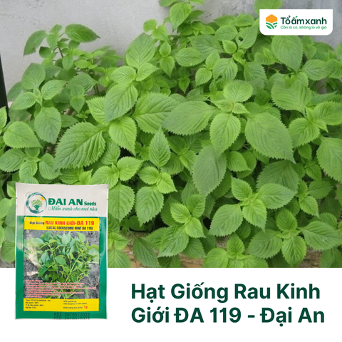 Hạt Giống Rau Kinh Giới ĐA 119 - Đại An