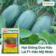 Hạt Giống Dưa Hấu Lai F1 TN 1346 - Hắc Mỹ Nhân - Trang Nông