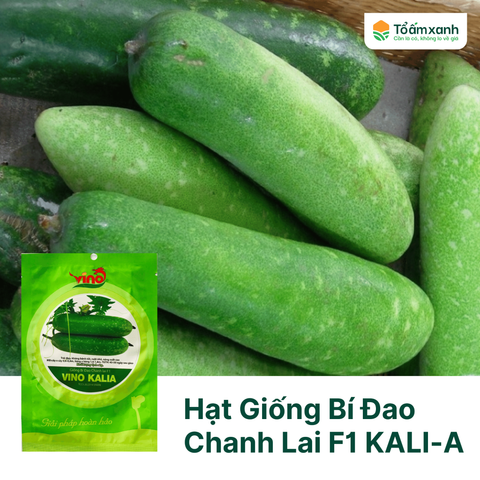 Hạt Giống Bí Đao Chanh Lai F1 KALI-A  - VINO