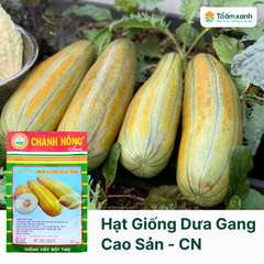 Hạt Giống Dưa Gang Cao Sản - Chánh Nông
